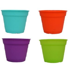 Maceta Holanda 24 cm    .