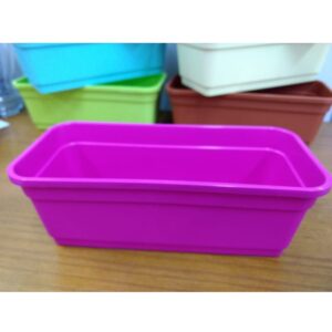 Maceta Jardinera 20cms Cactus.