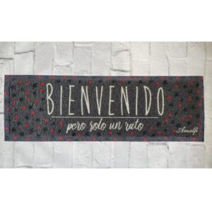 Alfombra 7027 Alto Transito 25x75 Deco.