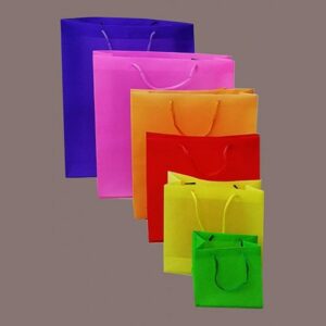 Bolsa Plast.p/Regalo 18x22 .