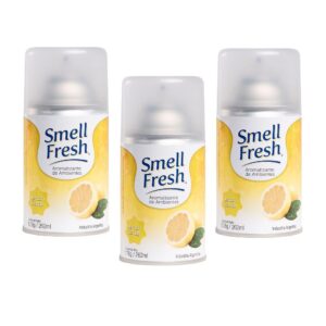 Desod.Amb.SMELL FRESH Surtido
