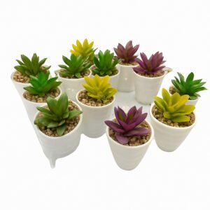 Macetita 164/165 Plast.c/Suculenta