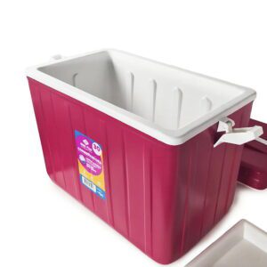 Heladera Conservadora 30 lts Desesplast /