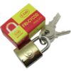 Candado Bronce 20mm Fricycod