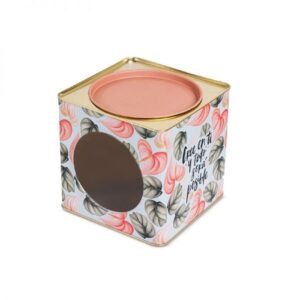 Lata Galletitera 17x17 c/Visor*
