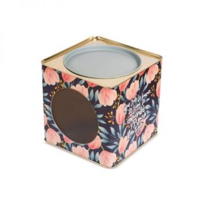 Lata Galletitera 17x17 c/Visor*