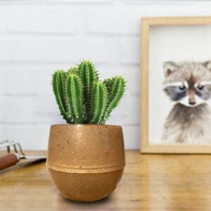 Eco Maceta Auto Riego MADERA Lisa