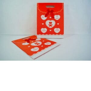 Bolsa Regalo Carton Mo�o+Abrojo 32x23x10*