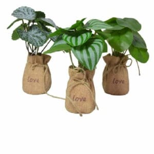 Maceta 462 Planta Decoracion Plastica 25cms*