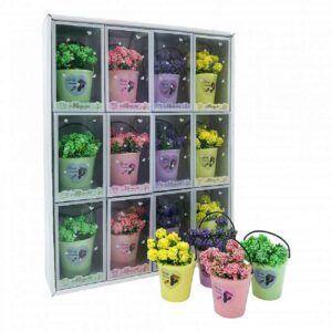 Souvenir Maceta c/Planta