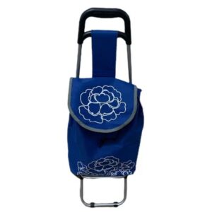 Changuito Compras Chico Deco AY2