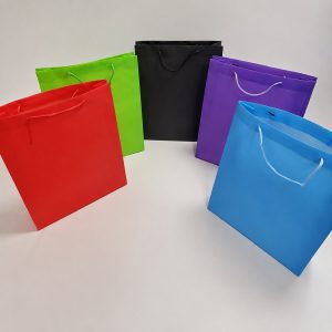 Bolsas 502 p/Regalo 23x27x8 Lisa